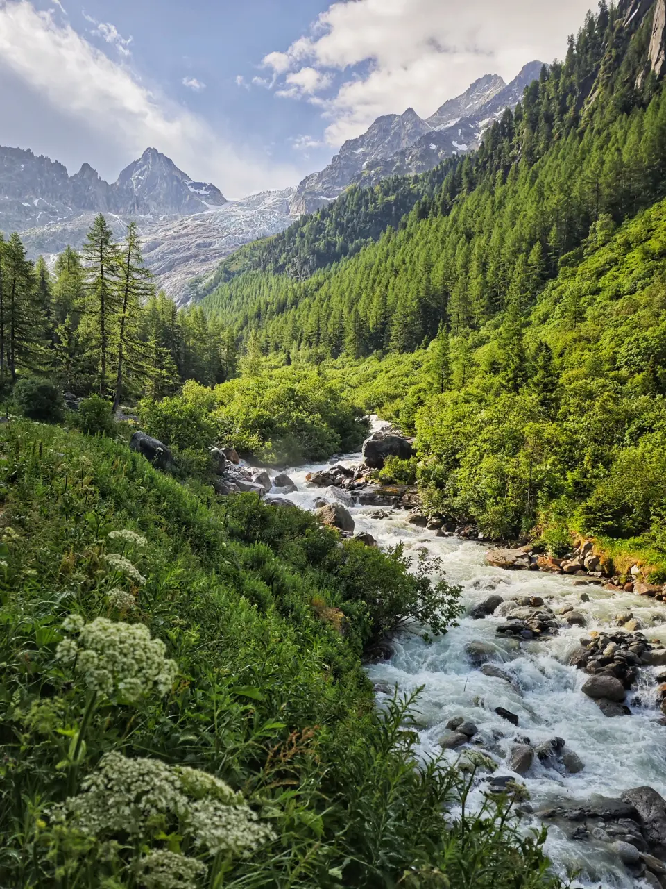 Trient Gletsjer - TMB