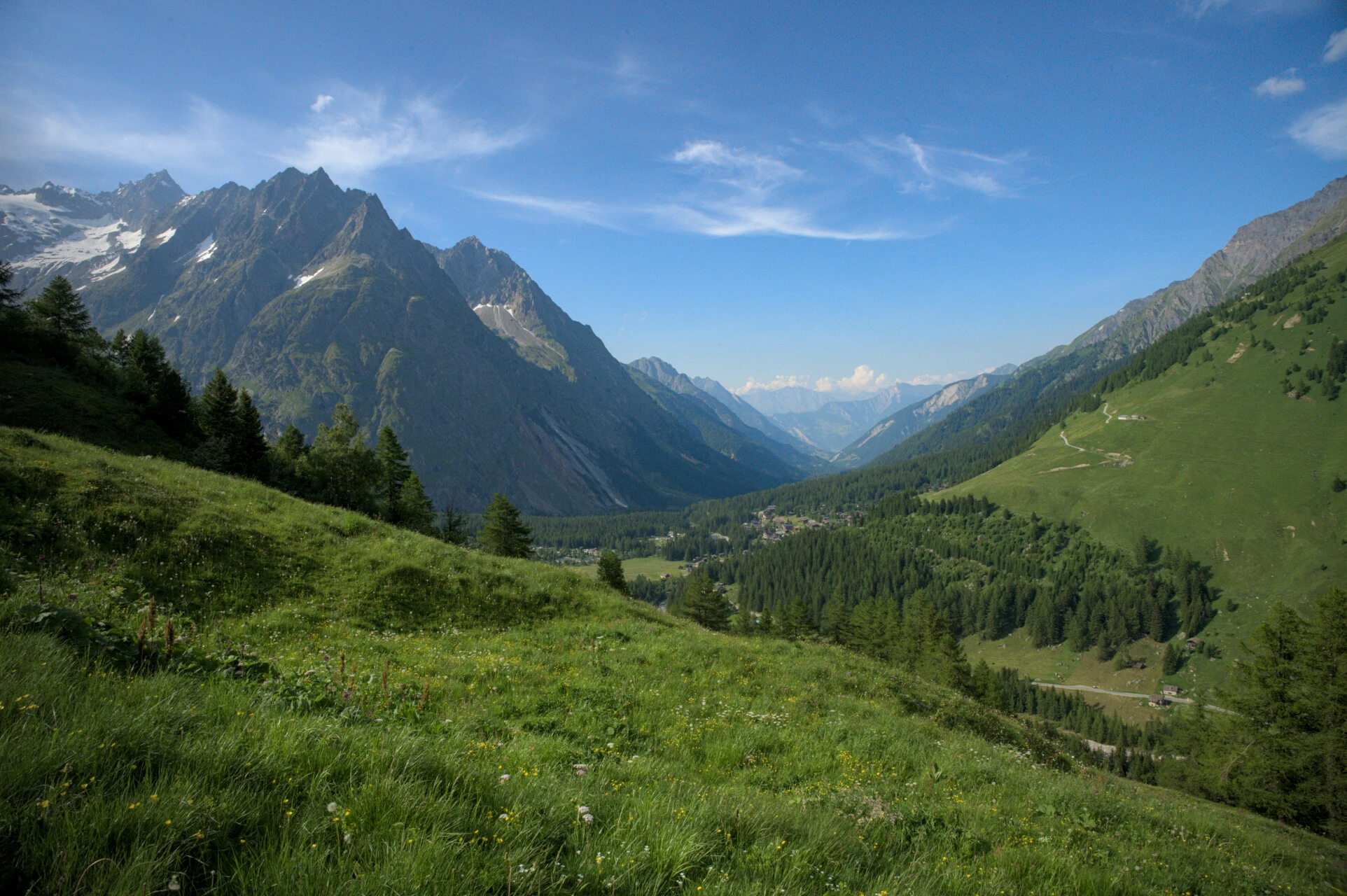 Eng i det schweiziske Val Ferret med Mont Blanc-gletsjerne som baggrund