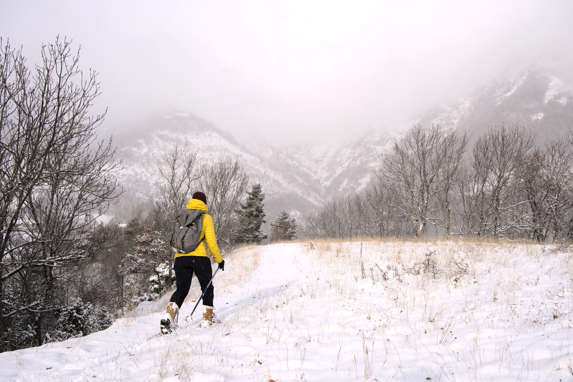 sneskovandring introduktion