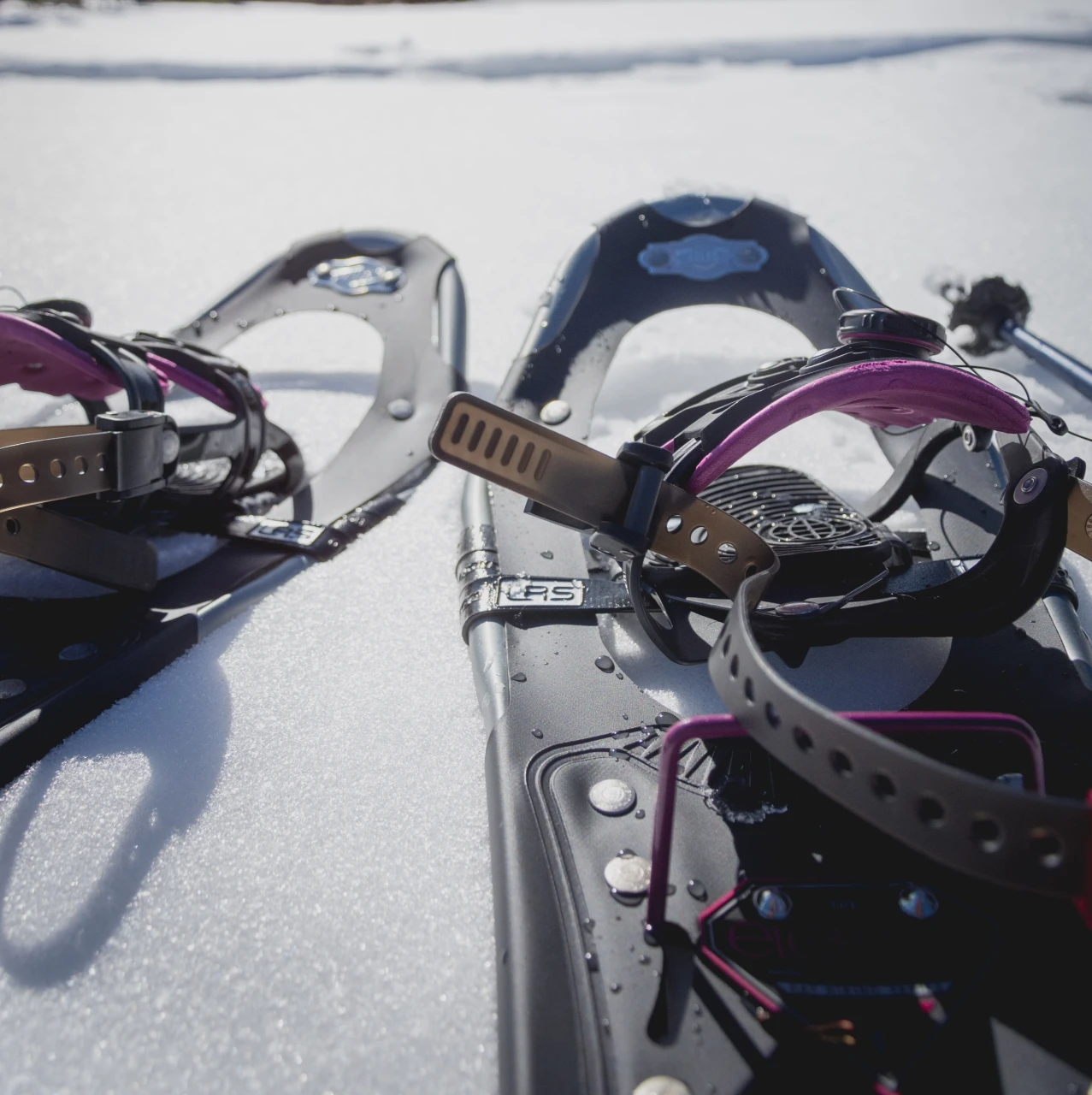 Udlejning af sneskoene