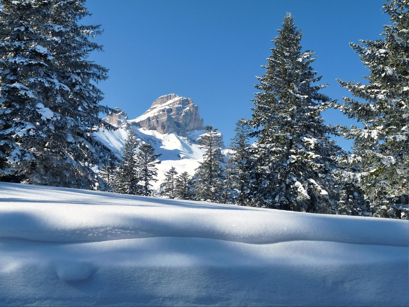 Nytår bjerghytte Obiou