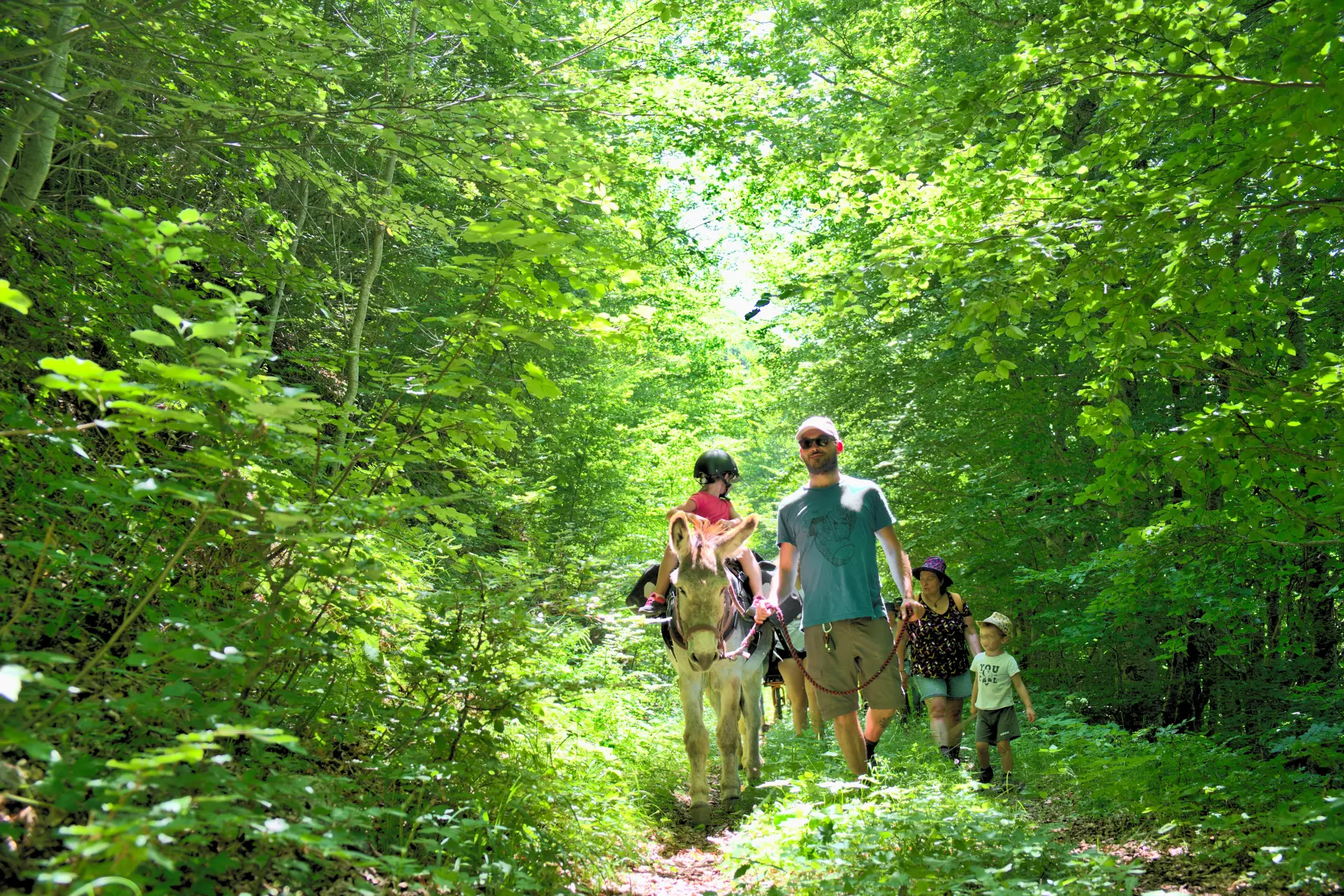 Donkey Hike in france