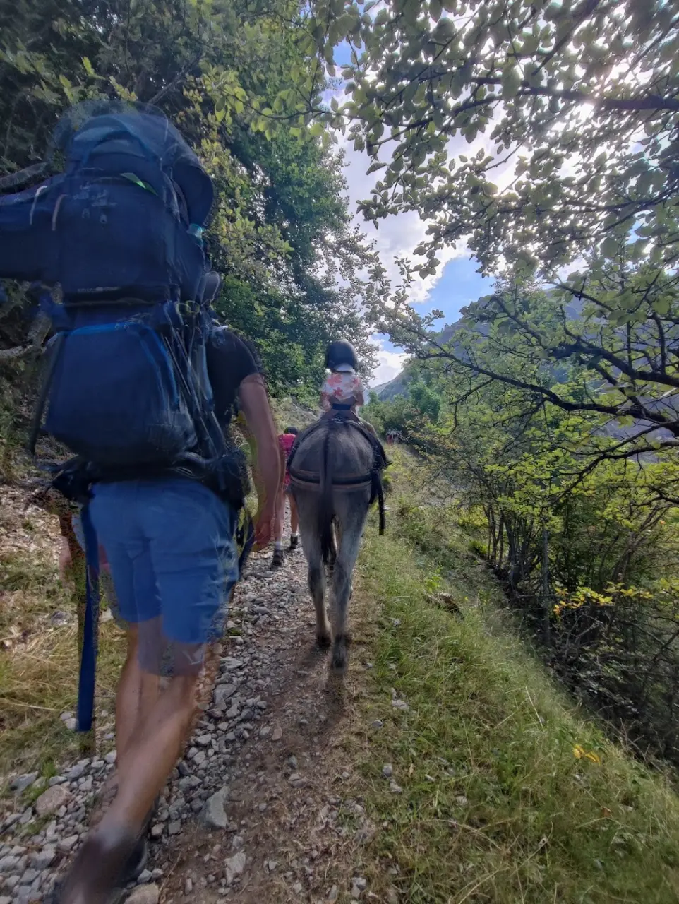 Familievandring med æsler