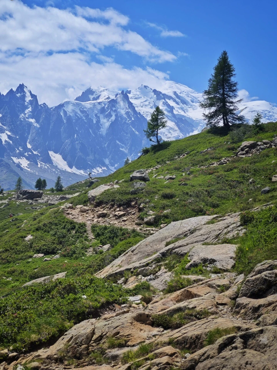 Stien over col des Montets, med Mont-Blanc-massivet lige overfor hele vejen op
